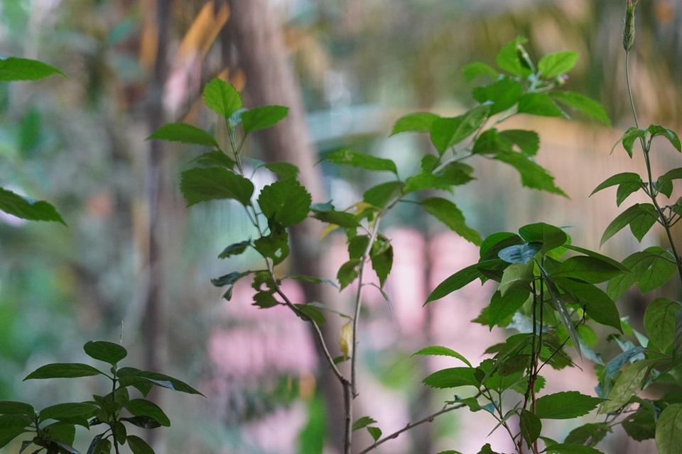 Nature Photography in Mangaluru. Mangaluru as a photography spot for photographers.